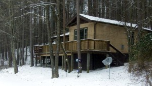 Pinewood cabin at Marsh Hollow